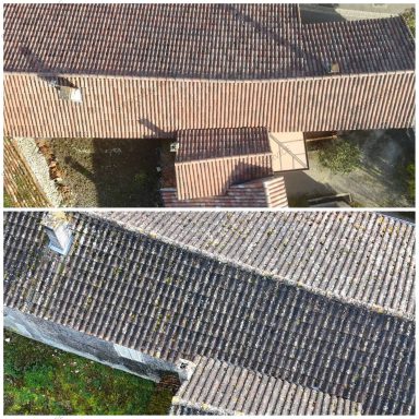 A 6 mois du traitement Démoussage par drone