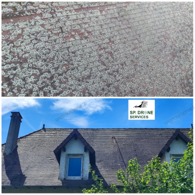 Invasion de lichen blanc Toiture en ardoise avec mousse, vue d'un angle supérieur. Ciel dégagé en arrière-plan.