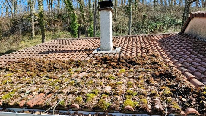 Démoussage toiture, retrait mousses Toit en tuiles avec mousse et végétation accumulée autour d'une cheminée.
