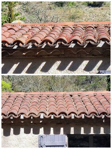 Brossage des mousses Cahors Toit en tuiles avec ombres projetées, contraste entre les zones éclairées et ombragées.